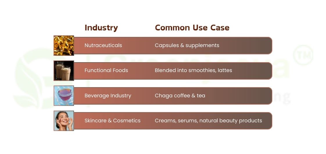 Chaga Mushroom Powder